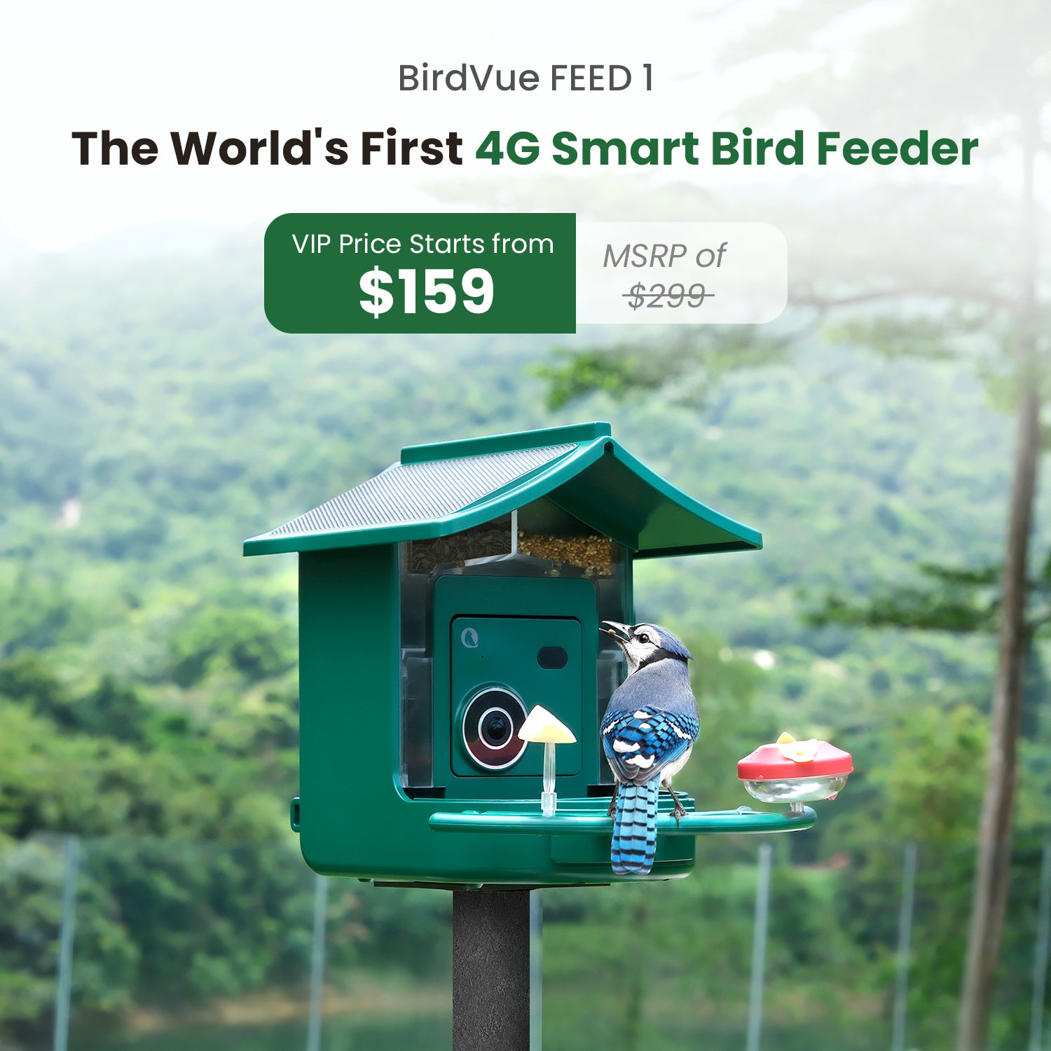The World's First 4G Smart Bird Feeder | Lock In Your VIP Price for Just $10