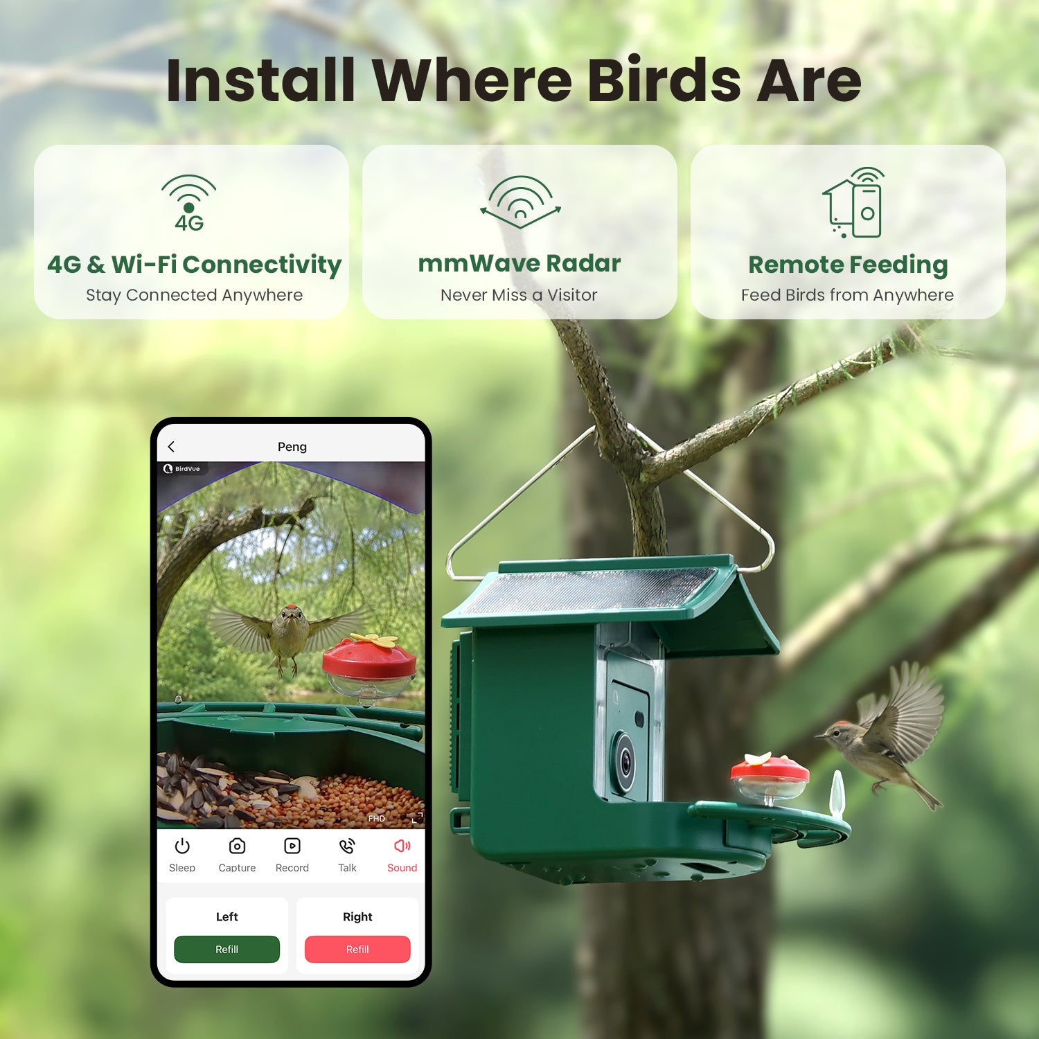 The World's First 4G Smart Bird Feeder | Lock In Your VIP Price for Just $10
