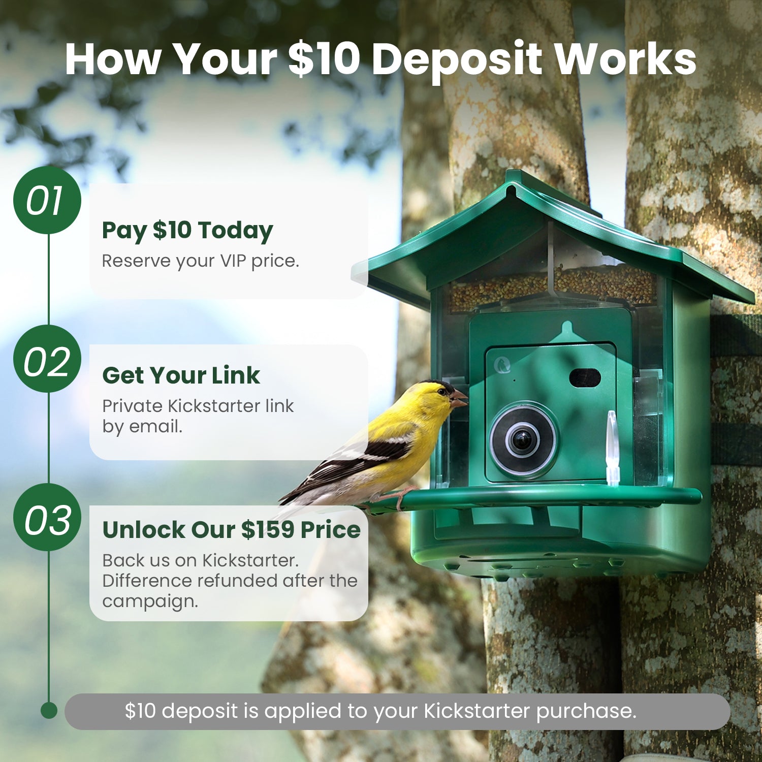 The World's First 4G Smart Bird Feeder | Lock In Your VIP Price for Just $10