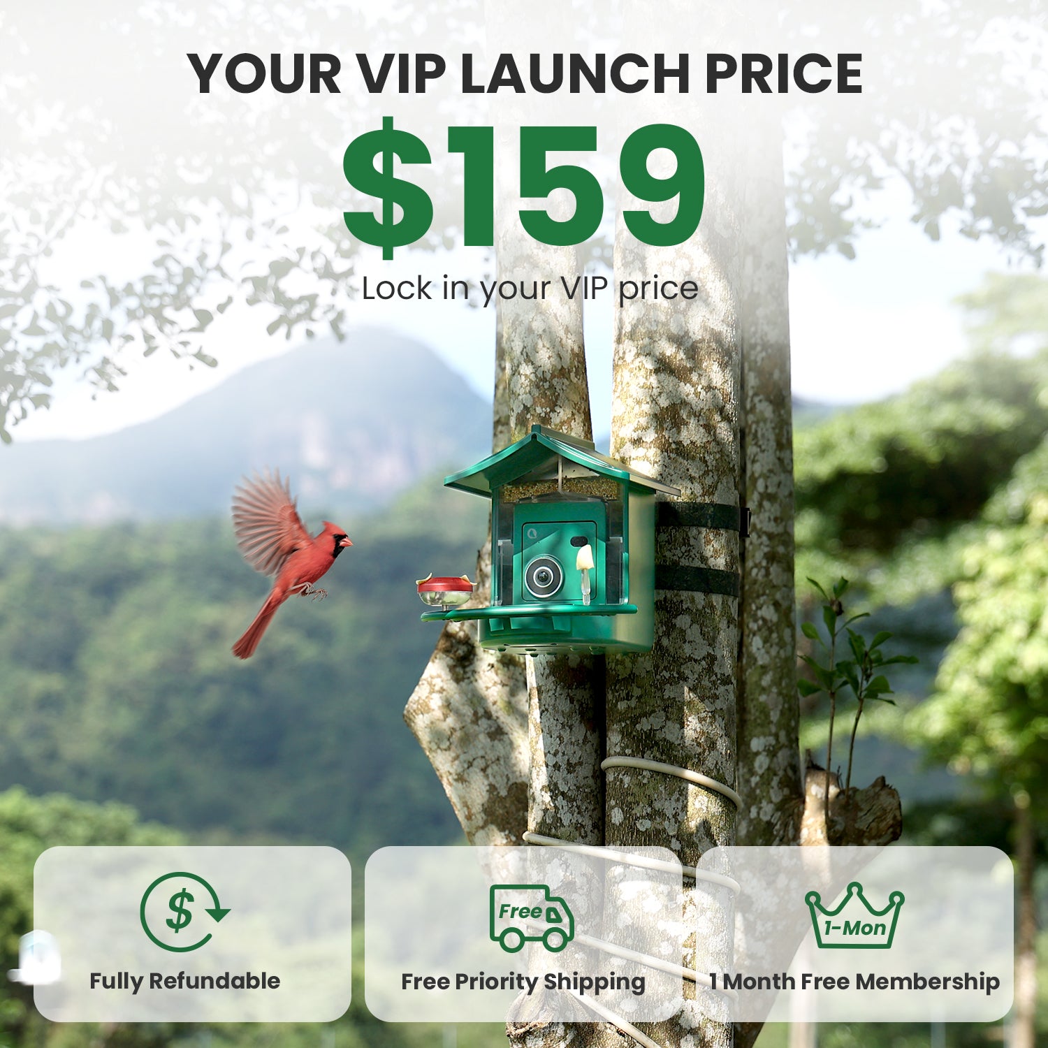 The World's First 4G Smart Bird Feeder | Lock In Your VIP Price for Just $10